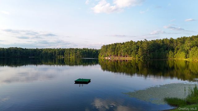 76 Timber Lake Drive, Eldred, NY 12732