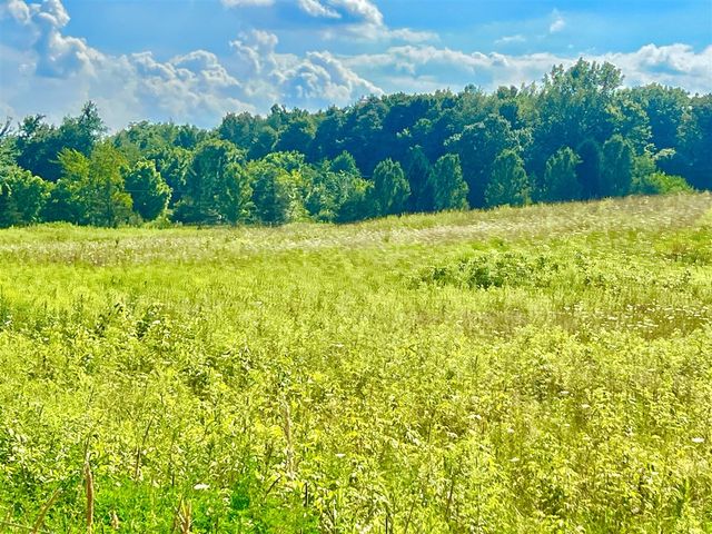 Dimmers Road, Reading, MI 49274