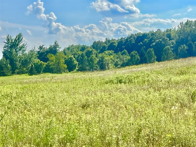 Dimmers Road, Reading, MI 49274