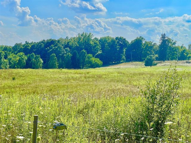 Dimmers Road, Reading, MI 49274