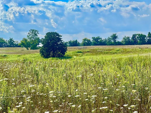 Dimmers Road, Reading, MI 49274