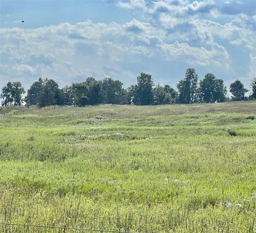 Dimmers Road, Reading, MI 49274