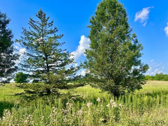 Dimmers Road, Reading, MI 49274