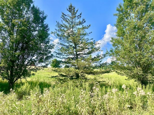 Dimmers Road, Reading, MI 49274