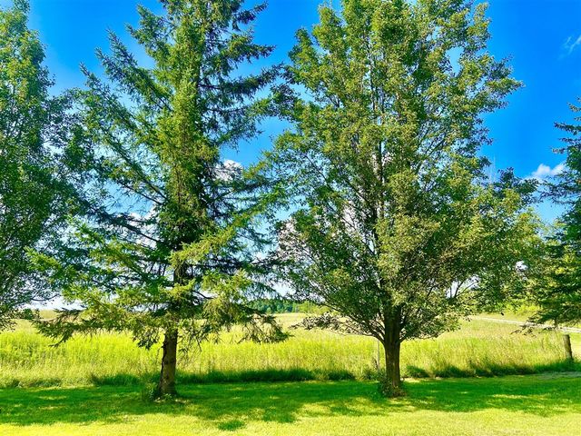 Dimmers Road, Reading, MI 49274