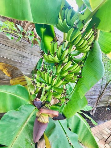 311 N Swinton Avenue, Delray Beach, FL 33444