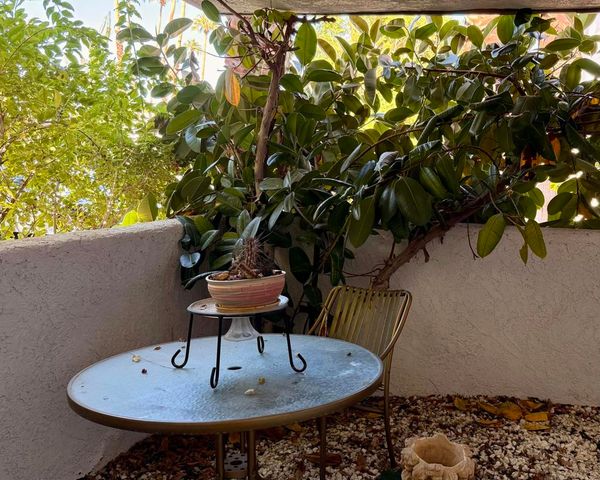 5301 E Waverly Drive 173, Palm Springs, CA 92264