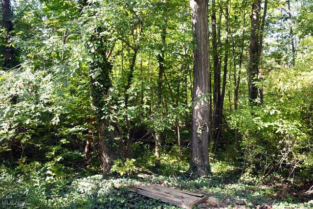 13170 Caves Road, Chesterland, OH 44026