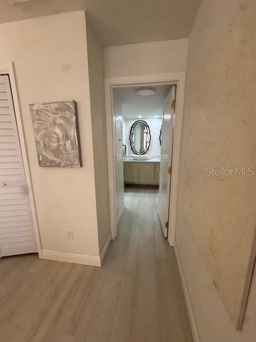 29230 BAY HOLLOW DRIVE N 3282, Wesley Chapel, FL 33543