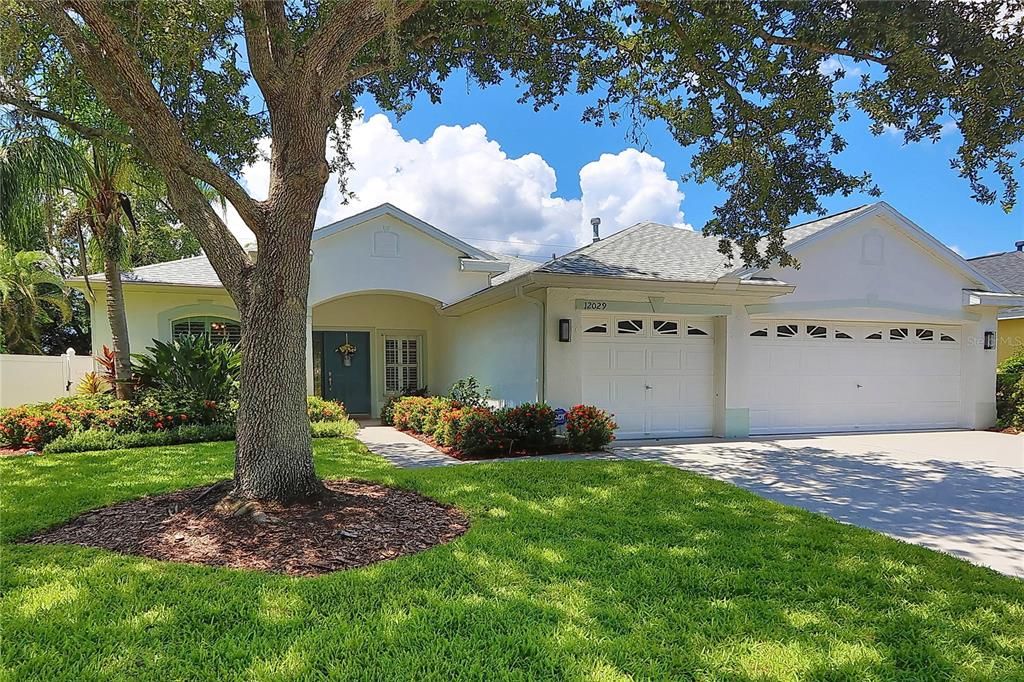 12029 MOUNTBATTEN DRIVE, Tampa, FL 33626