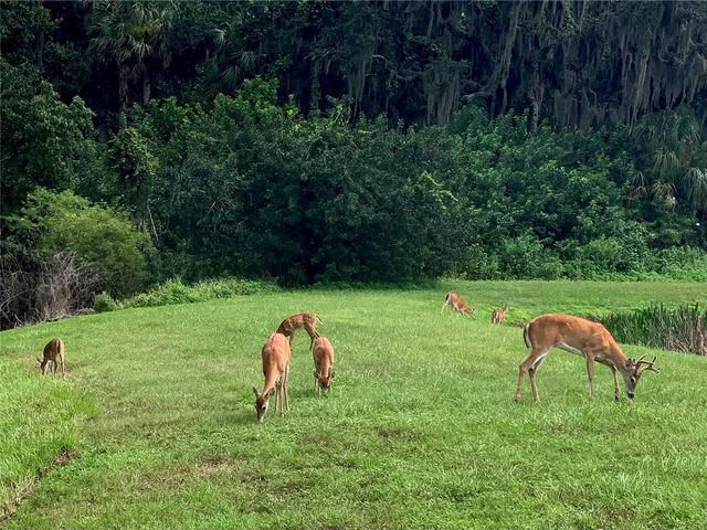 406 PETREL TRAIL, Bradenton, FL 34212