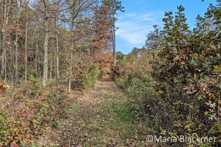 E Charles Road, Ionia, MI 48846