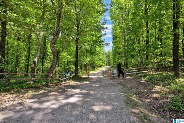 7076 COUNTY ROAD 24, Springville, AL 35146