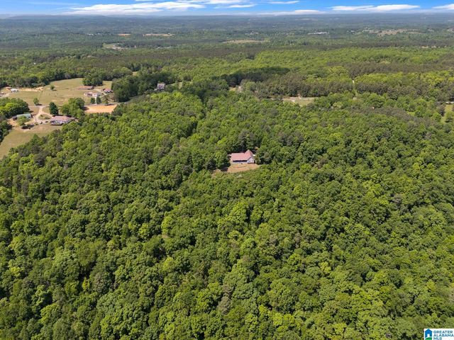 7076 COUNTY ROAD 24, Springville, AL 35146