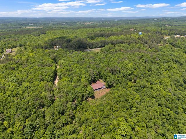 7076 COUNTY ROAD 24, Springville, AL 35146