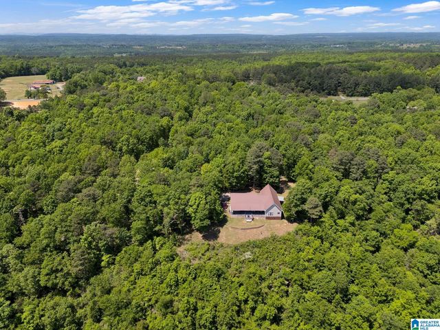 7076 COUNTY ROAD 24, Springville, AL 35146