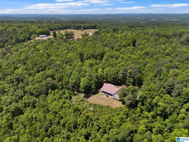 7076 COUNTY ROAD 24, Springville, AL 35146