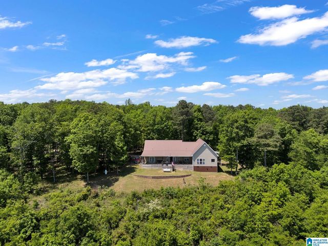 7076 COUNTY ROAD 24, Springville, AL 35146