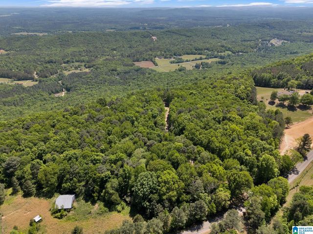 7076 COUNTY ROAD 24, Springville, AL 35146