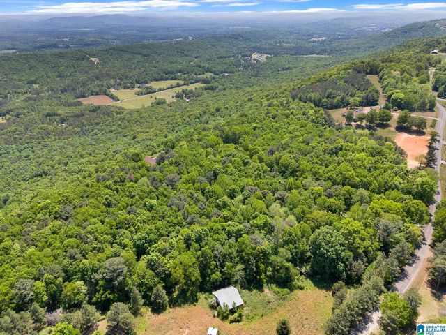 7076 COUNTY ROAD 24, Springville, AL 35146