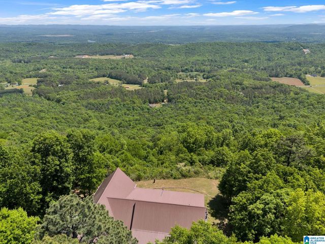 7076 COUNTY ROAD 24, Springville, AL 35146