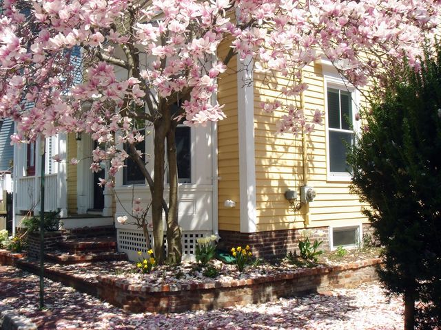 61 Crescent Street, Cambridge, MA 02138