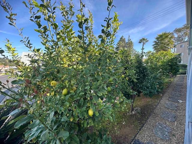 525 W El Norte Pkwy 127, Escondido, CA 92026