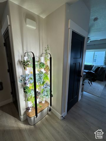 2373 W HOWARD ST, West Haven, UT 84401