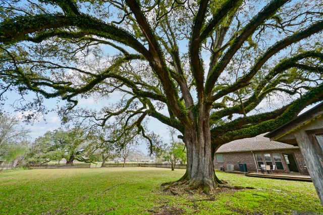 41255 Black Bayou Rd, Gonzales, LA 70737