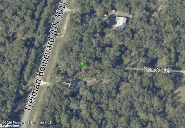 7466 Treiman Boulevard, Webster, FL 33597
