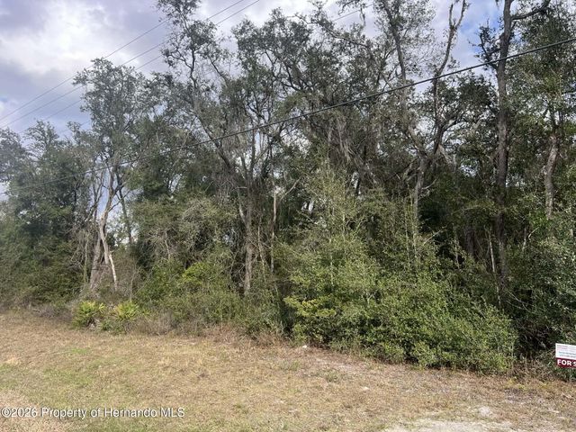 7466 Treiman Boulevard, Webster, FL 33597