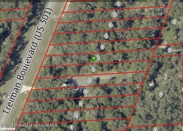 7466 Treiman Boulevard, Webster, FL 33597