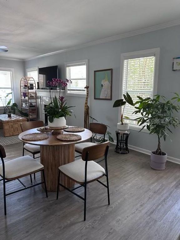 Image 18 of property listing at 7211 N TALIAFERRO AVENUE, Tampa, FL 33604
