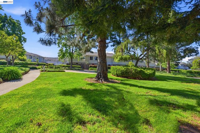 4011 Lana Ter, Fremont, CA 94536