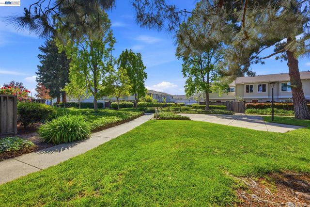 4011 Lana Ter, Fremont, CA 94536