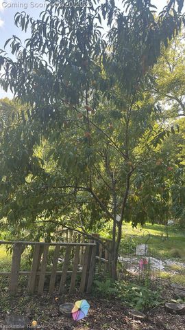 3955 Morgan Road, Orion Charter Township, MI 48359