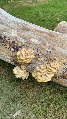 3955 Morgan Road, Orion Charter Township, MI 48359