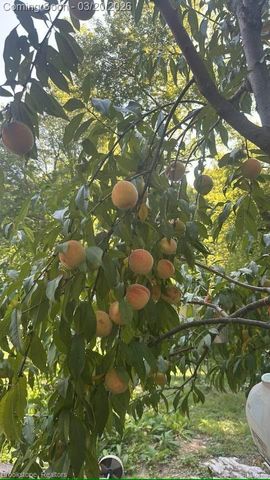 3955 Morgan Road, Orion Charter Township, MI 48359