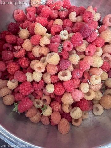 3955 Morgan Road, Orion Charter Township, MI 48359