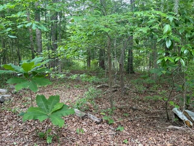 104 River Road, Blounts Creek, NC 27814