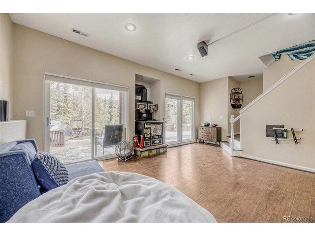 12447 S Danny Ave, Pine, CO 80470