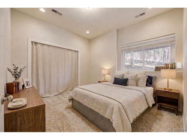 12447 S Danny Ave, Pine, CO 80470