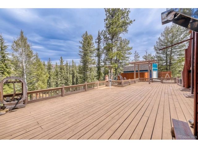 12447 S Danny Ave, Pine, CO 80470