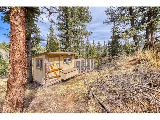 12447 S Danny Ave, Pine, CO 80470