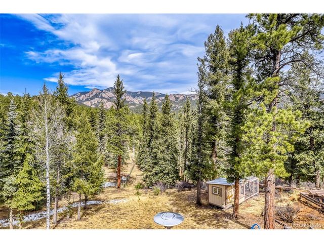 12447 S Danny Ave, Pine, CO 80470