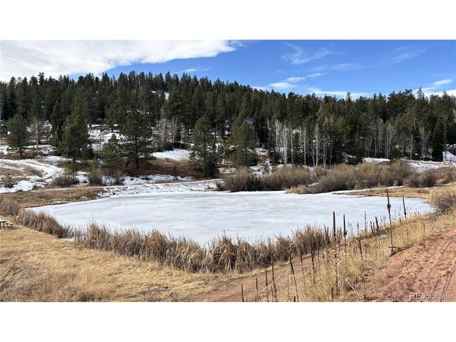 12447 S Danny Ave, Pine, CO 80470