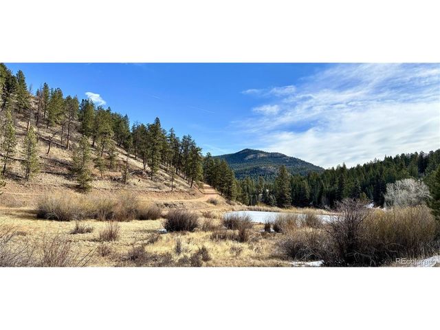 12447 S Danny Ave, Pine, CO 80470
