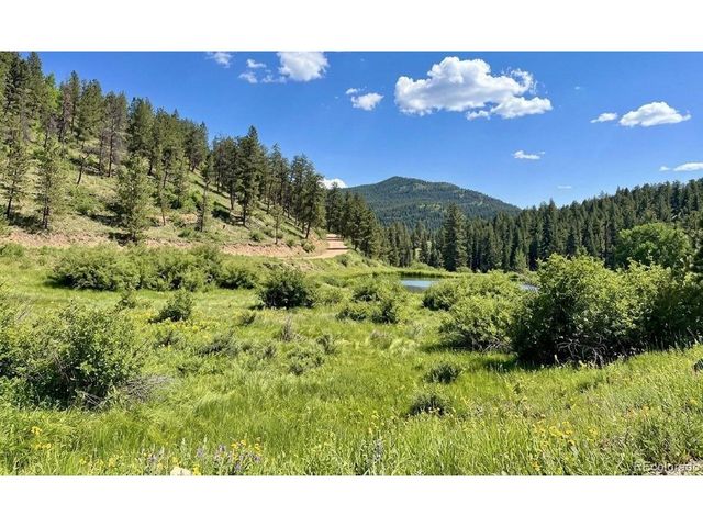 12447 S Danny Ave, Pine, CO 80470