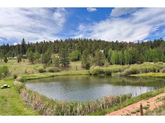12447 S Danny Ave, Pine, CO 80470
