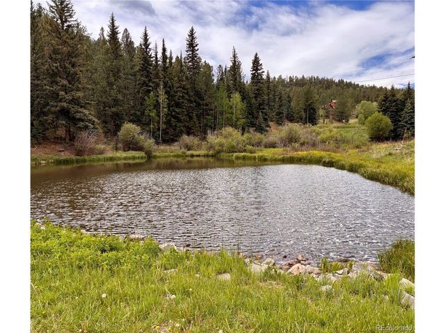 12447 S Danny Ave, Pine, CO 80470